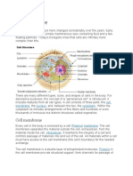 Cell Structure