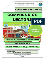 Prueba de Proceso Comunicación 5º Grado