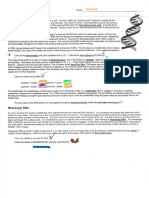 DNA Structure