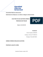 Casos de Auditoria y Fraude