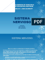 Exposicion Del Sistema Nervioso.