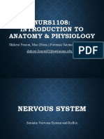 NURS1108 Lecture 10 - Nervous System ENHANCED