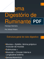 Sistema Digestório de Ruminantes