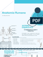 Resumo de Anatomia Humana