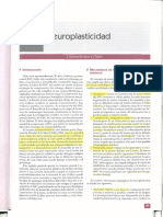 Capitulo 9 Neuroplasticidad