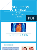 Obstrucción Intestinal - Seminario Nicolás Aguilera