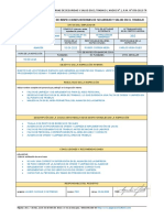 Registro de Inspecciones internas-LLENO