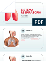 Semana 10 - Respiratorio