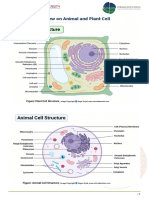 Review On Animal and Plant Cell