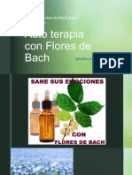 Curso Intensivo de Flores de Bach