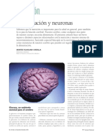 Nutrición Alimentacion y Neuronas