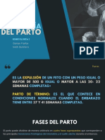 Fisiología Del Parto