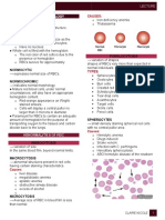 Red Cell Morphology