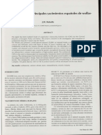 Actualizacion de Los Principales Yacimientos Españoles de Wollastonita - Baltuille 2004