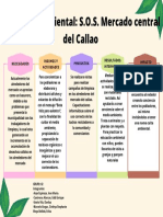 Problema Ambiental S.O.S. Mercado Central Del Callao