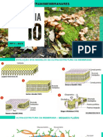 PP11 - BG10 - Transportes Transmembranares