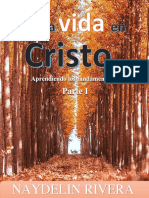 Nueva Vida en Cristo-DESKTOP-S9A9R88