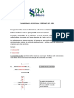 Palindromos de ADN y Enzimas de Restriccion - DNA Didactic