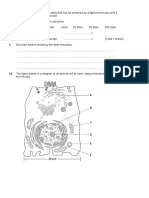 Magnification and Cells Unit 1