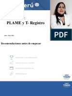 Taller Plame