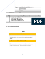 Reporte - Lab - AMINAS y AMIDAS (1) FIN