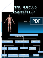 Aparato Lococmotor Clase 2