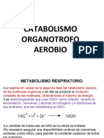 3.catabolismo Organotrofo