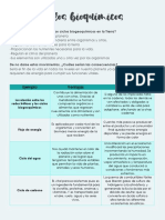 Ciclos Biogeoquímicos