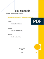 Informe Final