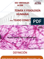 Primera Clase - Tejido Conectivo