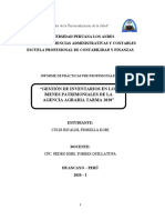 Informe de Practicas Pre Profesional II - Fiorella