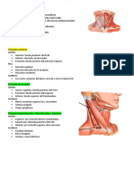 Triangulos Del Cuello Listo