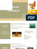 Galinhas Poedeiras PDF