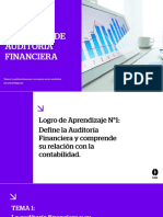 Tema 1 - Principios de Auditoria Financiera