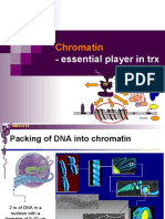 05 MBV4230 05 Chromatin