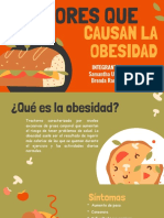 Factores Que Causan La Obesidad