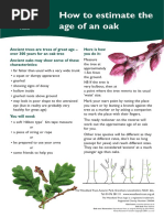 Estimating Age of Oaks - Woodland Trust