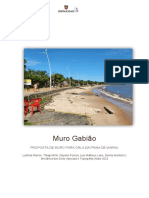 Muro Gabiao - Praia de Marau