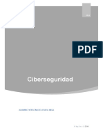 CIBERSEGURIDAD