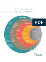 Carte de La Sante Et de Ses Determinants - Ministere Du Quebec