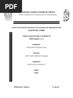 PDF Documento