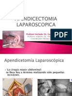 Presentacinapendicectomialaparoscopica 130924174758 Phpapp02