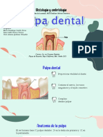 Presentacion Acerca de La Pulpa Dental-Grupo B