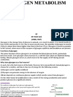 Glycogen Metabolism