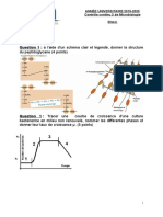 Microbiologie 19-20 - CC2 Bacterio Sujet1 Corr