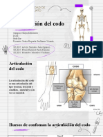 Articulación Del Codo