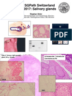 2017 Salivary Glands