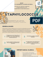 Staphylococcus