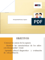 Diferencia Entre Discapacidad Visual Yceguera