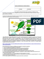 Fotosíntesis y Respiración Celular 2